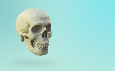 The evolution of the human skull and teeth